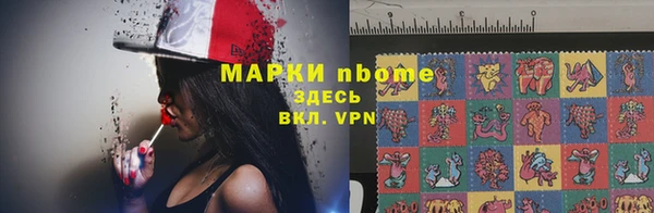 СК Белокуриха