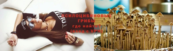 СК Белокуриха
